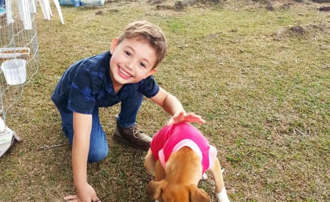 Feira De Adoção De Pets Conta Com A Colaboração Da Comunidade