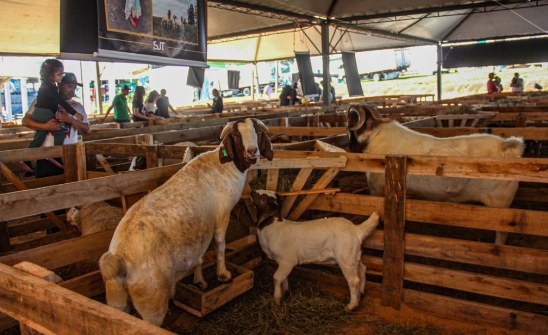 Programação Agro Da 2ª Expoirati Terá Novidades Para O Público