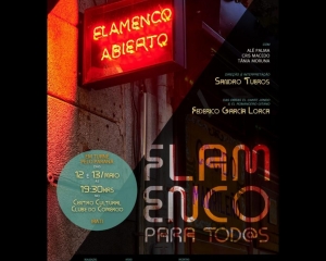 flamenco-1.jpeg