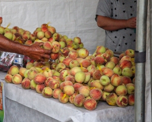 img4530.jpg